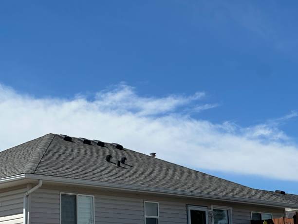 Best Asphalt Shingle Roofing  in Grill, PA